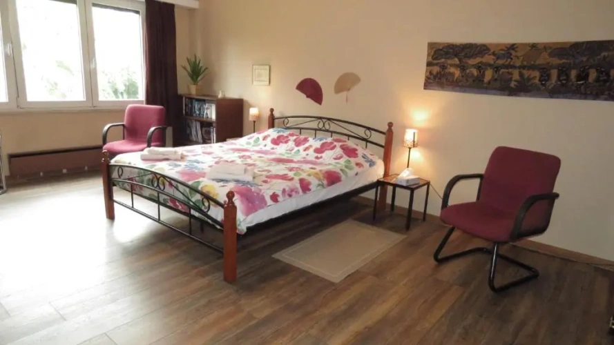 Standard Double room with garden view