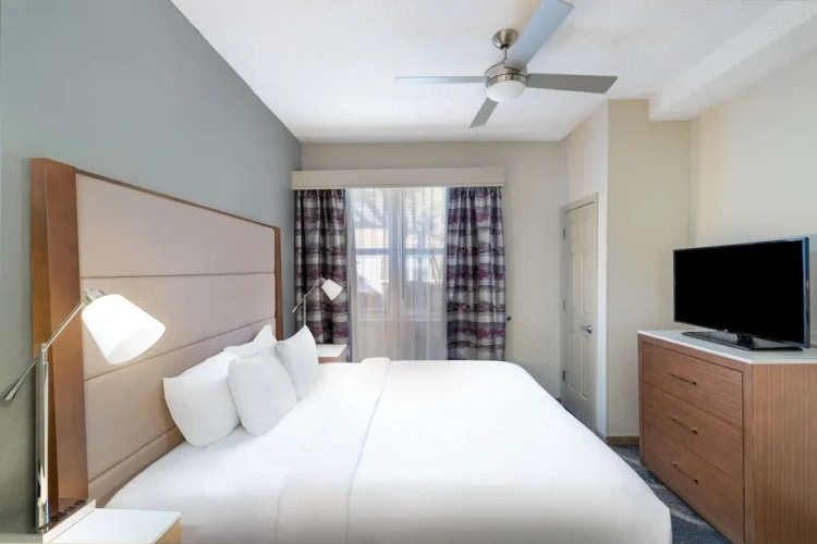1 Bedroom Suite