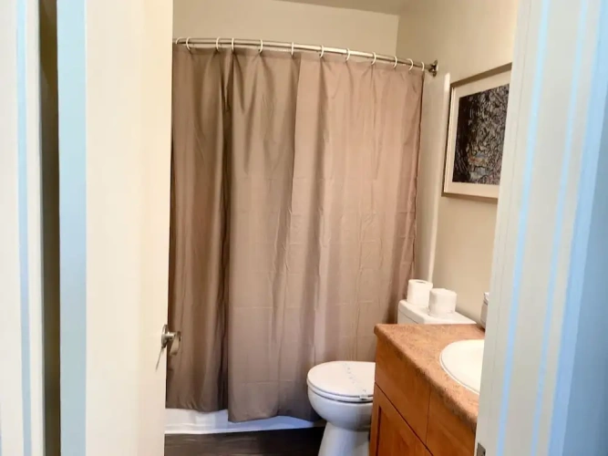1 Bedroom Apartment