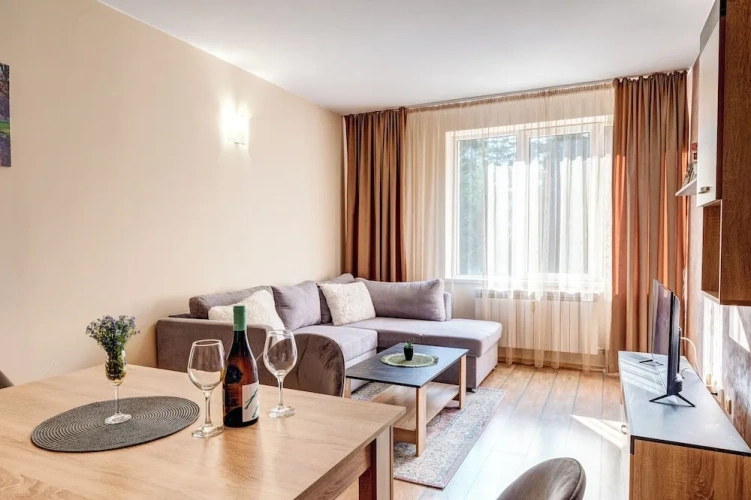Deluxe Apartment