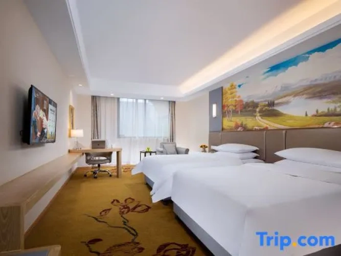 Deluxe Double Family room