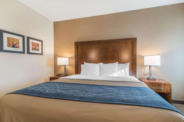Comfort Inn Concord South End