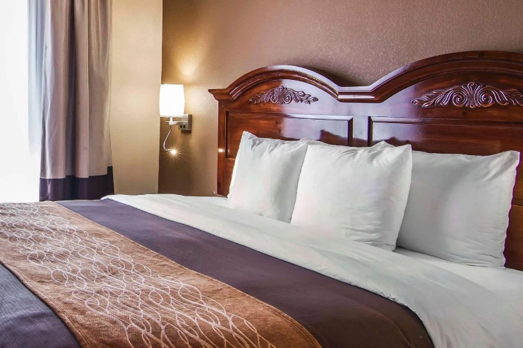 1 Bedroom Suite