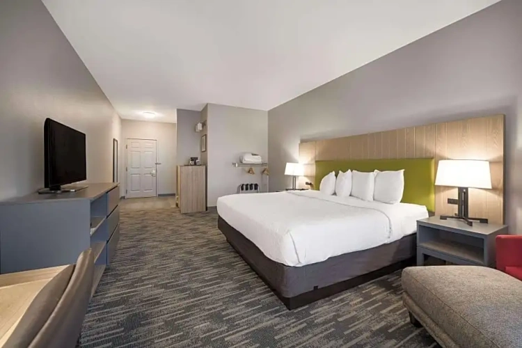 Quadruple Suite