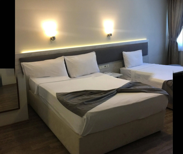 Hotel Temizay