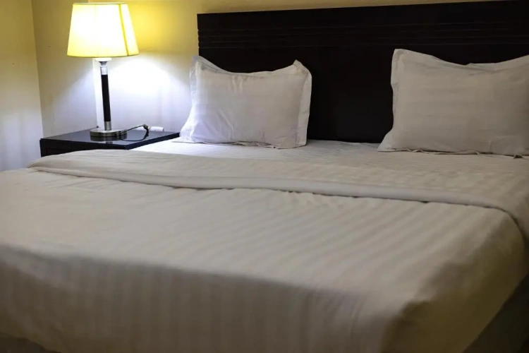 Superior Double Suite