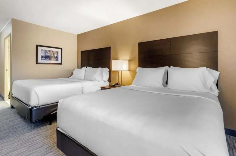 Economy Quadruple room