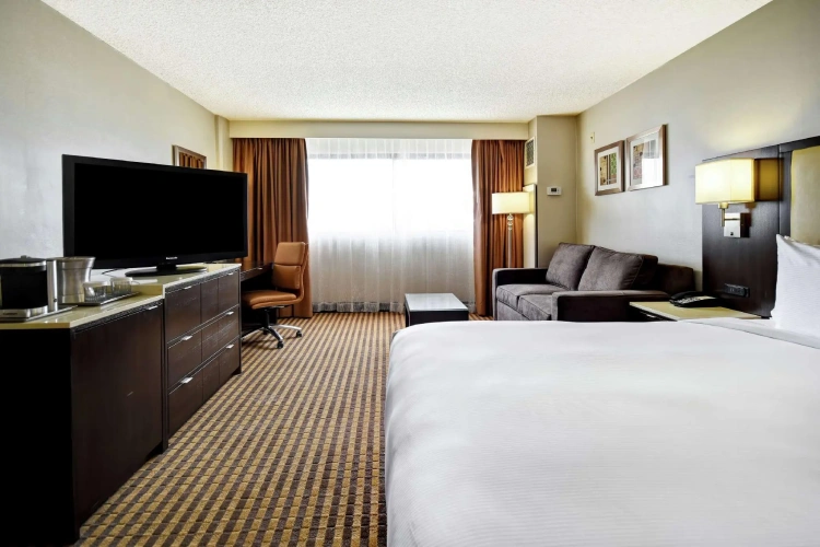 Standard Double room with pool view