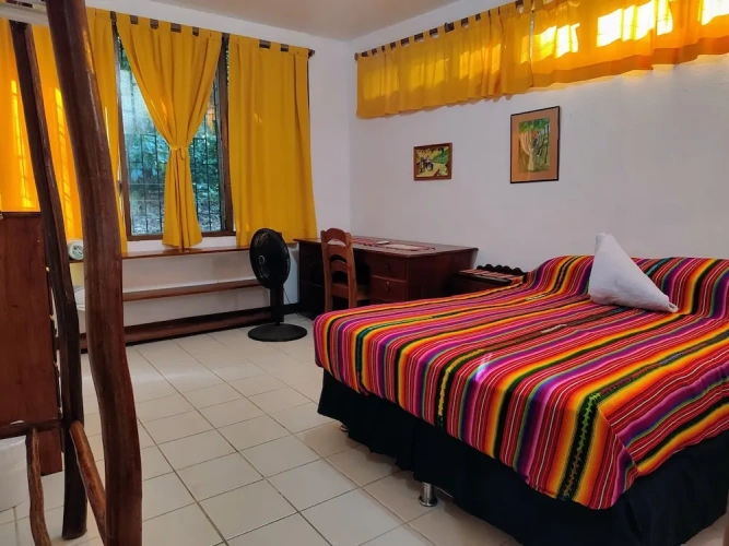 Economy Double Apartment with garden view