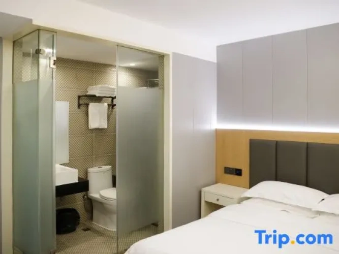 Comfort Single room