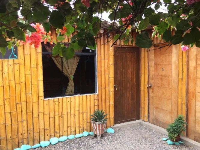 Standard Single room with garden view