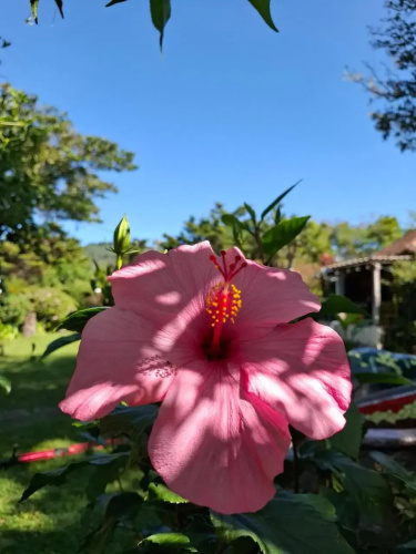 Cabaña Apaneca Ataco