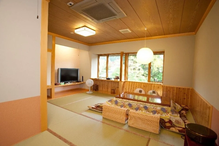 Standard Single room with river view