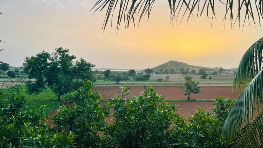 Narayani Revtree Resort and Villa