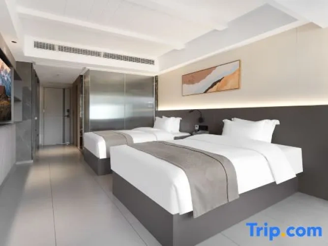 Business Triple Suite