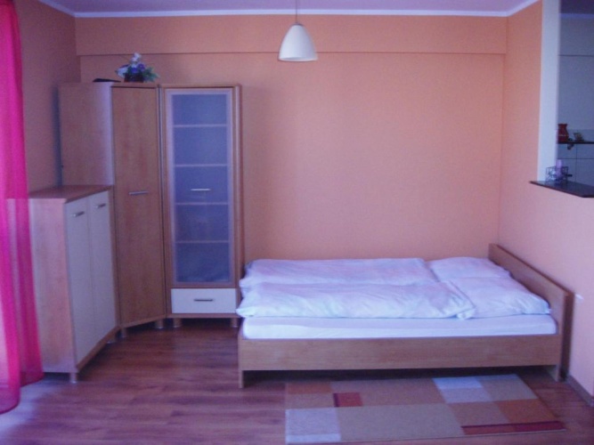Economy Apartment