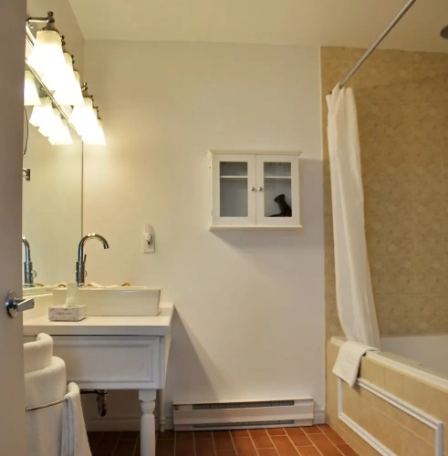 Deluxe Double room with balcony and with river view