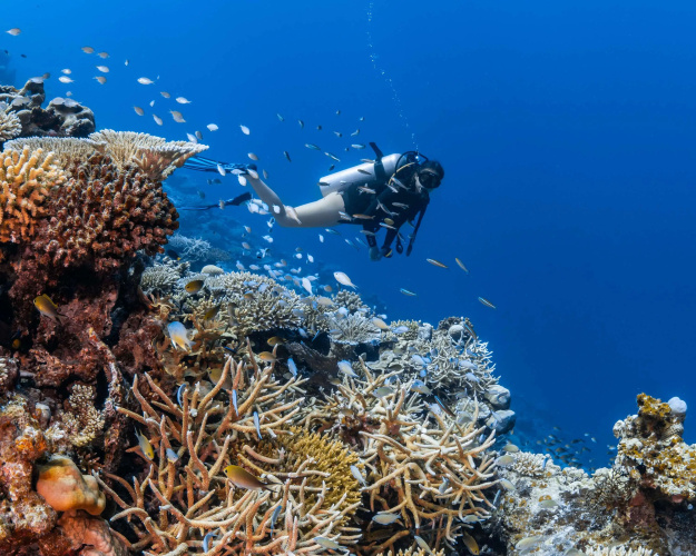 Park Hyatt Maldives Hadahaa photo 32