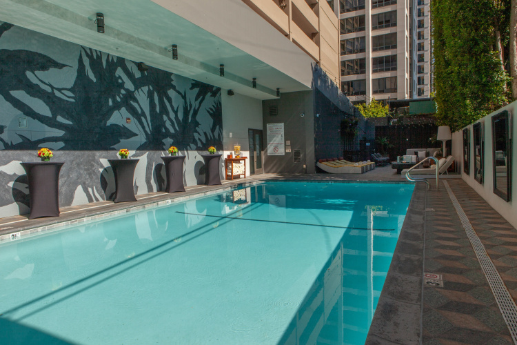 Kimpton Hotel Palomar Beverly Hills photo 20