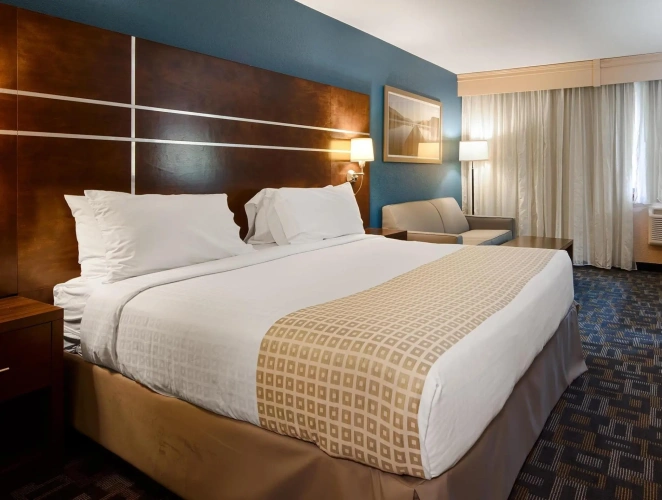 1 Bedroom Suite