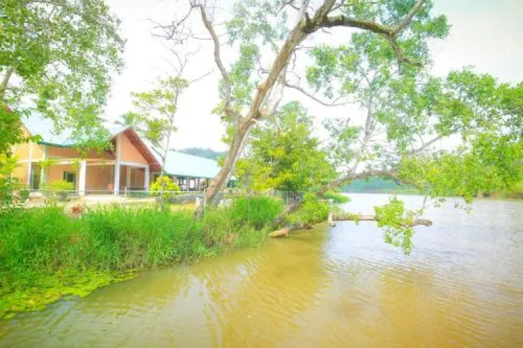 River Bank Resort