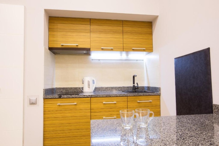 Duplex Apartment with view