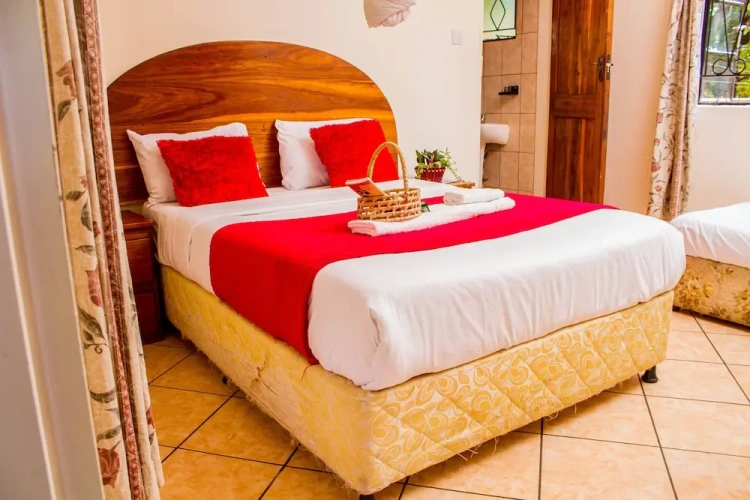 Standard Twin room with garden view