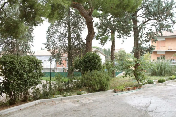 Pino Marittimo