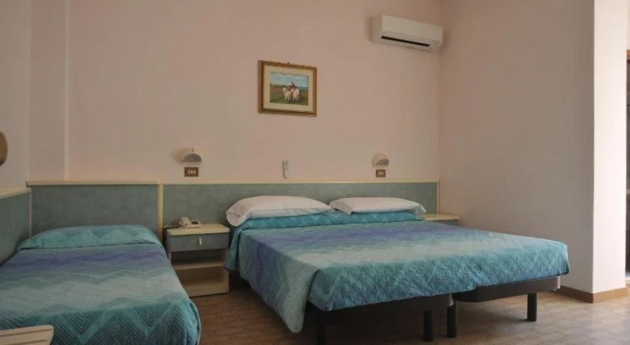 Hotel Metron