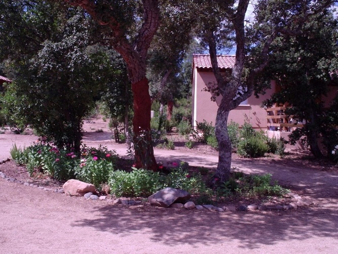 Outside