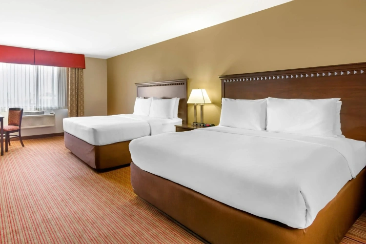 Standard Quadruple room