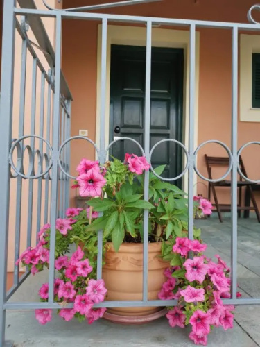 Lora's House