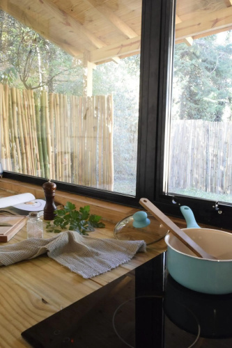 PINAMARTE