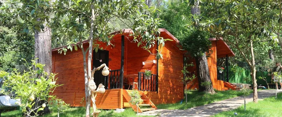 Robina Bungalov