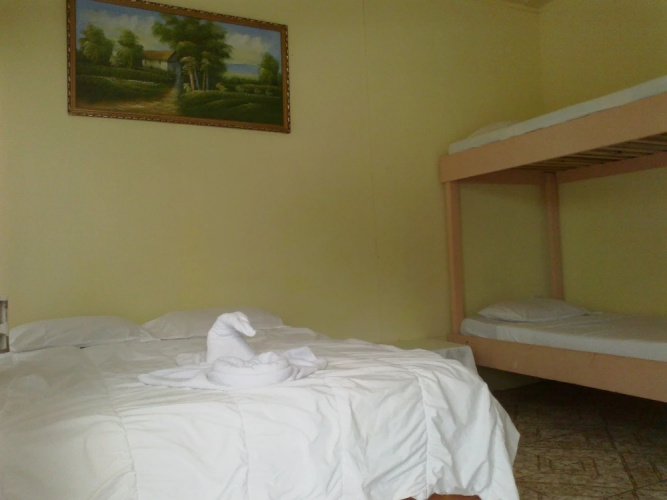 Hostel Dorothy