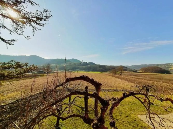 Deluxe Double room with garden view