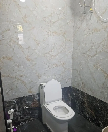 Luxury Apartment
