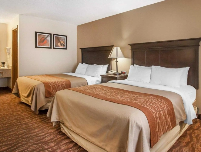 Standard Quadruple room