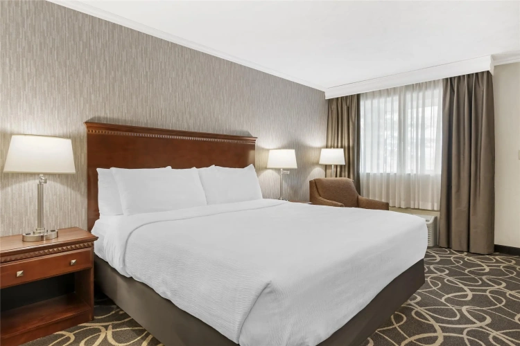Standard Double room with courtyard view
