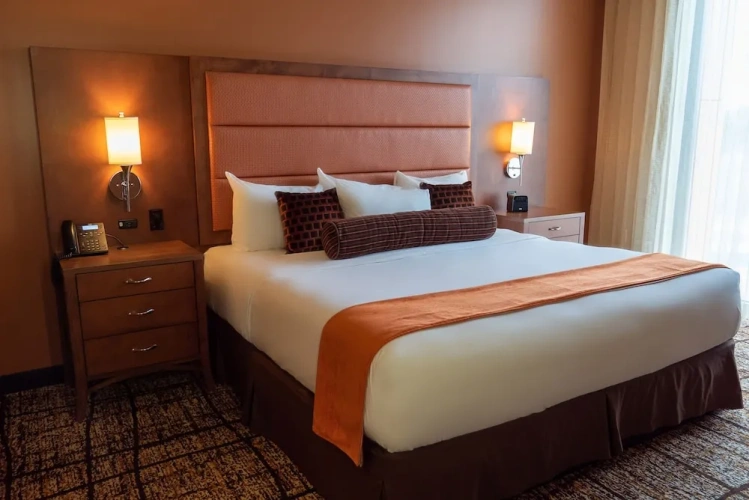 Luxury Double Suite
