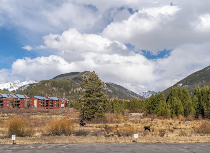 Snowdance 203c by Summit County Mountain Retreats