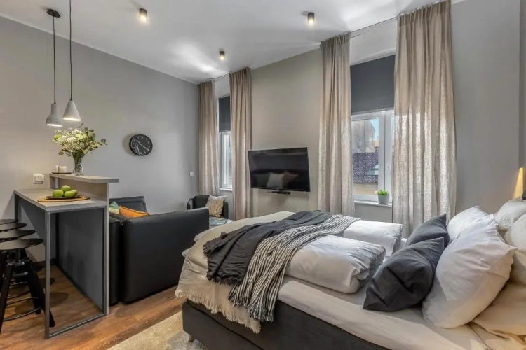 Deluxe Apartment
