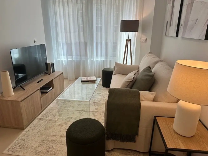 Luxury Apartment