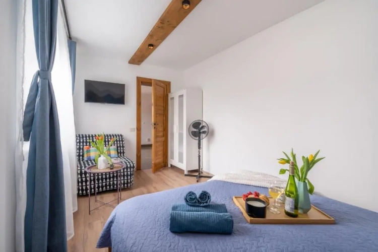 Basement Apartment