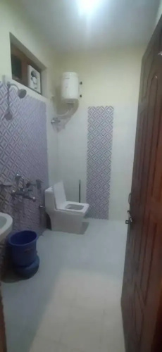 Pine Palace Homestay