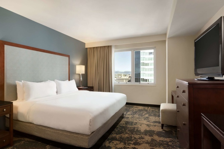 Embassy Suites by Hilton Denver Downtown Convention Center photo 8