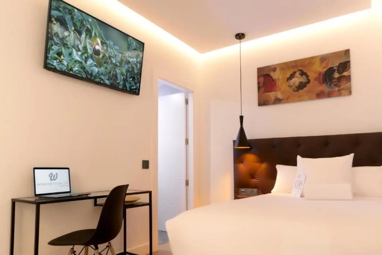 Deluxe Single room