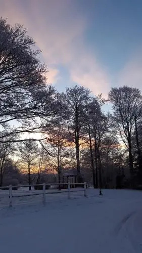 Ost Trogelborg Farm Holiday