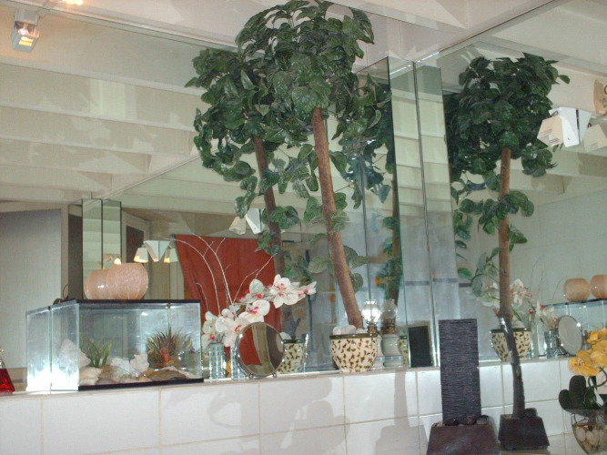 Standard Double room — Twin Beds