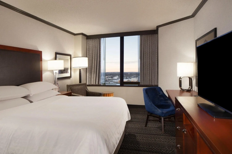 Deluxe Double room with bay view